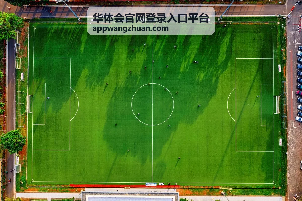 账号登录与安全校验界面示意
