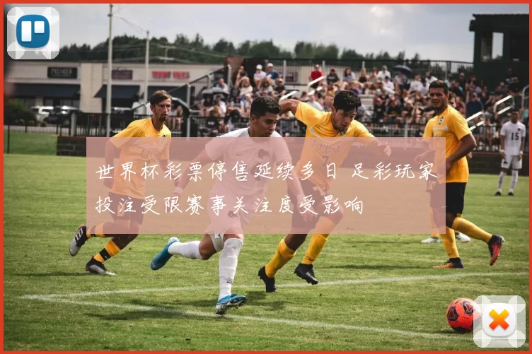 世界杯彩票停售延续多日 足彩玩家投注受限赛事关注度受影响