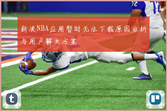 新浪NBA应用暂时无法下载原因分析与用户解决方案