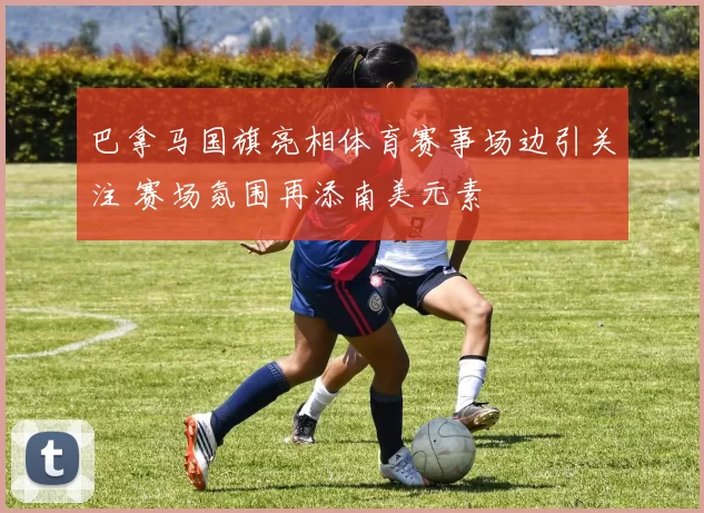 巴拿马国旗亮相体育赛事场边引关注 赛场氛围再添南美元素