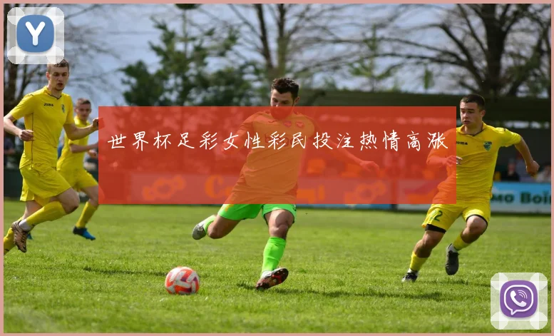 世界杯足彩女性彩民投注热情高涨
